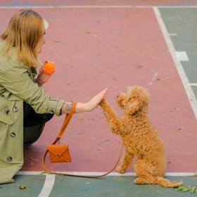Resim Merlin Köpek Gezdirme Kayışı - Kayış + Çanta + Anahtarlık İstiyorum / Eskitilmiş Kahve / İsim Baskı İstemiyorum 