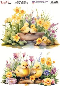 Resim Pirinç Dekopaj Kağıdı 30x42cm Pt-1497 