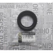 Resim Megane 2 Diferansiyel Keçesi 383428H500 