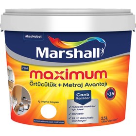 Resim Marshall Maximum Silikonlu Ipek Mat Mürdüm 2,5 Lt. (3,5 Kg) 