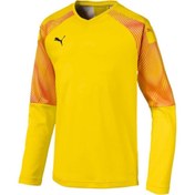 Resim Puma Cup Gk Jersey Ls Jr 