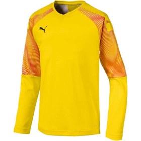 Resim Puma Cup Gk Jersey Ls Jr 