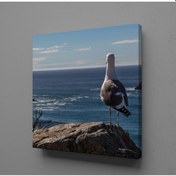 Resim Martı Kanvas Tablo 