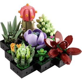 Resim LEGO Creator Expert 10309 Sukulentler (771 Parça) 