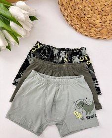 Resim Erkek Çocuk Dinozor Desenli 3'lü Boxer Seti 