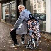 Resim Tabureli Taşınabilir Katlanır Alışveriş Arabası - Paslanmaz Çelik Çerçeve & Oxford Kumaş, Hafif Katlanabilir Market Tekerleği Yaşlılar için, Kamp, Ev Kullanımı, Tatil Alışverişi 