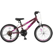 Resim Ümit Bsiklet 2469 Luna V-21-shm 24 Jant Çocuk Bisiklet 001 