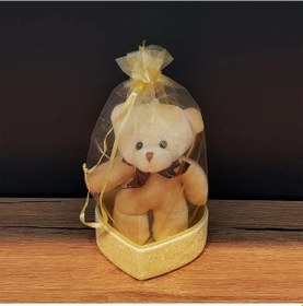 Resim Hediyelik Kese İçinde Ayıcık Çok Renkli 