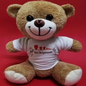 Resim Zenvia Seni Seviyorum Temalı Peluş Ayıcık 