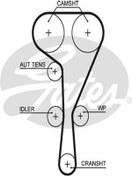 Resim Genel Markalar 5550xs Triger Kayisi 126 Dis ( Renault : Megane / Laguna Iı 1.8 2.0 16v 01 / F4p ) (WC722891) 