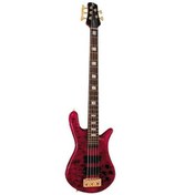 Resim Spector Usa Series Bas Gitar 