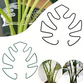 Resim Yeniden kullanılabilir büyük asma bitki destekleri, dayanıklı bahçe yapısı düzeneği, tırmanıcı bitkiler için askılar, şemsiye bambu desenli sağlam tahtalar, saksı dekorasyonuna uygun, bağ yardımı, İngilizce Noel hediyesi ve Cadılar Bayramı ürünü, hem kapalı alanda (iç mekan) hem açık havada, Büyük Bitki Destek Klipsleri, Saksı Bitkisi Aksesuar,Asma Destek Sistemi,Yeniden Kullanılabilir Bahçe Kazığı,Büyük Bitki Tutucu,Fonksiyonel Yapı Stili,Bambu Tasarımı, 