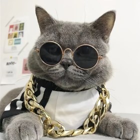 Resim 1 adet Moda Kedi Gözlüğü, Rastgele Renk, Çoklu Renkler 