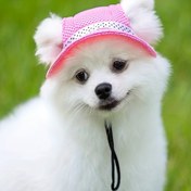 Resim Kulak Delikli Ayarlanabilir Pembe Puantiyeli Köpek Şapkası - Tüm Boyutlardaki Yavru Köpekler & Köpekler için Nefes Alabilir File Güneş Kapağı, Çıtçıt Kapatma, Dış Maceralar & Bakım için İdeal 