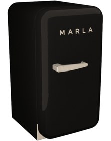 Resim Elektromarla 45 Litre Retro Minibar Mini Buzdolabı - Siyah 