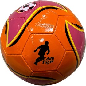 Resim Can Top Futbol Topu 