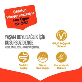 Resim Wanpy Ördekli Tahılsız Yetişkin Köpek Maması 1.5 Kg 