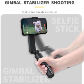 Resim Torima Tripod Profesyonel Gimbal Çok Amaçlı Işıklı Video Çekimi Telefon Sabitleyici L09 Siyah 