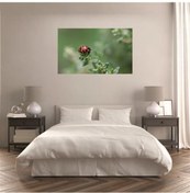 Resim Md62 Uv Baskılı Mdf Tablo 