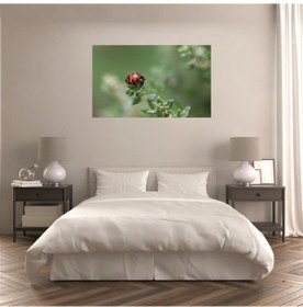 Resim Md62 Uv Baskılı Mdf Tablo 