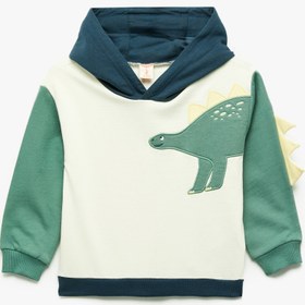 Resim Erkek Bebek Dinozor Baskılı Pamuklu Uzun Kollu Şardonlu Kapşonlu Sweatshirt 