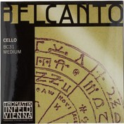 Resim Thomastik Infeld BC31 Belcanto Çello Teli 