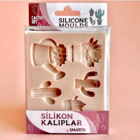 Resim Silikon Kalıp - Kaktüs Seti Beyaz 