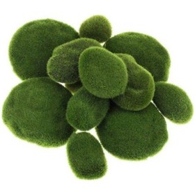 Resim Taş Yosun Teraryum Ve Akvaryum Dekoru 10Lu Paket 