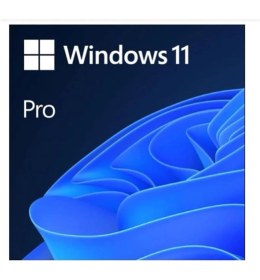 Resim Microsoft Ms Wındows 11 Pro 32/64 Bit Tr Kutu USB HAV-00159 