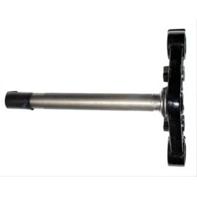 Resim Mondial 125 Mc Alt Platin 