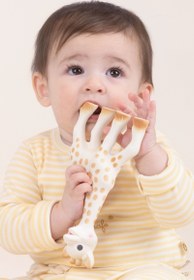 Resim Sophie la girafe Zürafa Diş Kaşıyıcı - Standart 