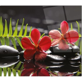 Resim Olinpa Cam Ocak Arkası Koruyucu | Çiçek 