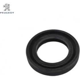 Resim Peugeot Prizdirek Contasi Prt 