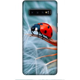 Resim Zipax Samsung Galaxy S10 Plus Kılıf Baskılı Uğur Böceği Desenli Zipax A++ Silikon - 8557 