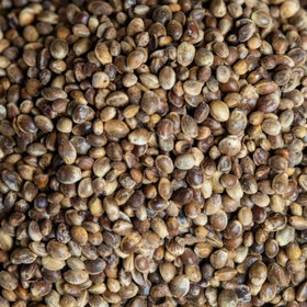 Resim Kendir Tohumu Çiğ - 1 Kg 