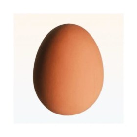 Resim Out Of The Blue Zıplayan Yumurta - Bouncing Egg 