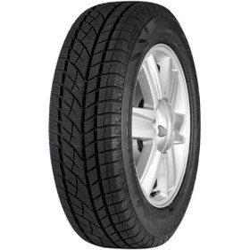 Resim Kinforest 195/65 R15 95T XL Alpin Drive Kış Lastiği 2024 