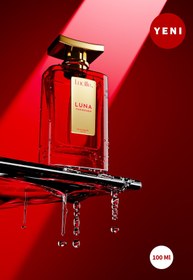 Resim Lucille Luna Özel Kutusunda 100 ML EDP Kadın Parfümü Baharatlı Koku - Esans Kalıcı Koku 