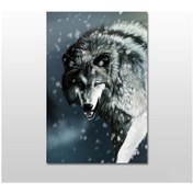 Resim Kurt Kanvas Tablo 80x40 