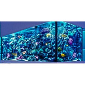Resim Akvaryum İçin Led Tak Çalıştır 