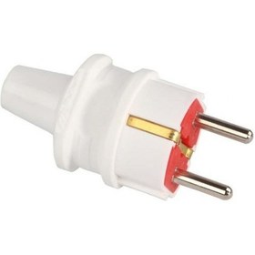 Resim ERKEK FİŞ MUTLUSAN 