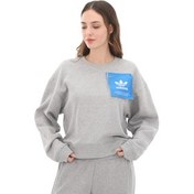 Resim adidas Ksenıa Tag Swt Kadın Sweatshirt Gri 
