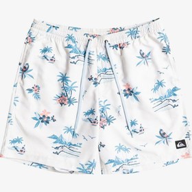 Resim Quiksilver Bej Erkek Şort Mayo EQYJV03901 EVERYDAY SCENIC VOLLEY 1 