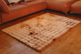 Resim REX TAVŞANI BUBBLE POST HALI, MULTİ KAHVE, 80X200 