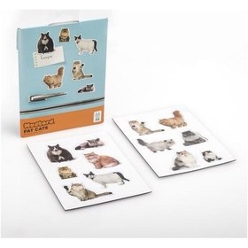 Resim Mustard Kedili 12'li Magnet 