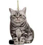 Resim Suntek Araba Kolye Komik Araba Aksesuarları Tablo Pencere 