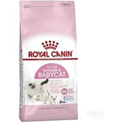 Resim Royal Canin Babycat Yavru Kuru Kedi Maması 2 KG 