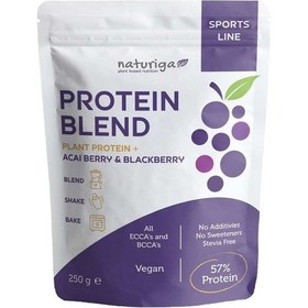 Resim Naturiga Açai ve Böğürtlenli Protein Blend 250 G 