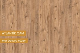 Resim RUDA BANYO DOLABI, ATLANTİK ÇAM, İKİ KAPAKLI 