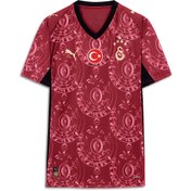 Resim GALATASARAY 25/26 Erkek Alternatif Forması 